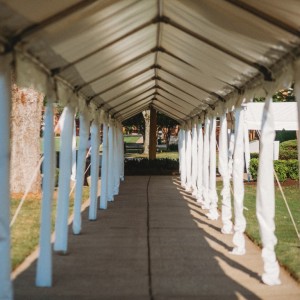 202108PhoenixBallLGP39 Medium