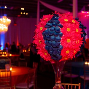 2022 SetUp & Auction