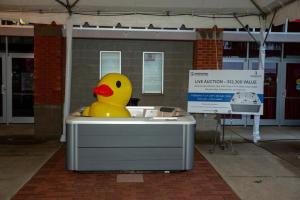 2024 Setup & Auction