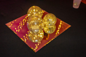 2025 Patrons Party
