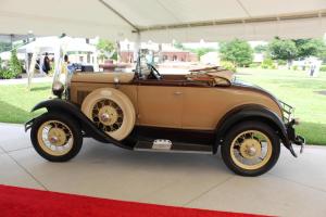 2026 Setup & Auction